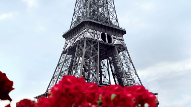 Video Reference N1: Cloud, Flower, Sky, Plant, Petal, Tower, Annual plant, Pole, Magenta, Tree
