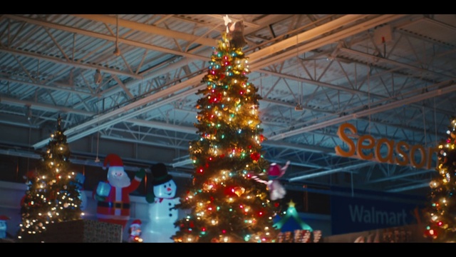 Video Reference N2: Christmas tree, Light, Christmas ornament, World, Lighting, Decoration, Evergreen, Christmas decoration, Tree, Triangle