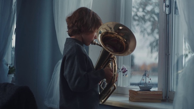 Video Reference N2: Hat, Musical instrument, Sun hat, Picture frame, Plant, Brass instrument, Tuba, Drum, Wind instrument, Houseplant