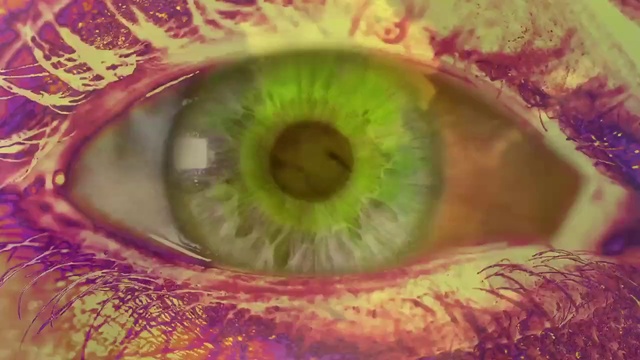 Video Reference N11: Eye, Eyelash, Human body, Organism, Terrestrial plant, Red, Nerve, Symmetry, Close-up, Circle