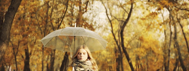 Video Reference N2: Umbrella, People in nature, Plant, Tree, Wood, Mammal, Natural landscape, Happy, Shade, Grass
