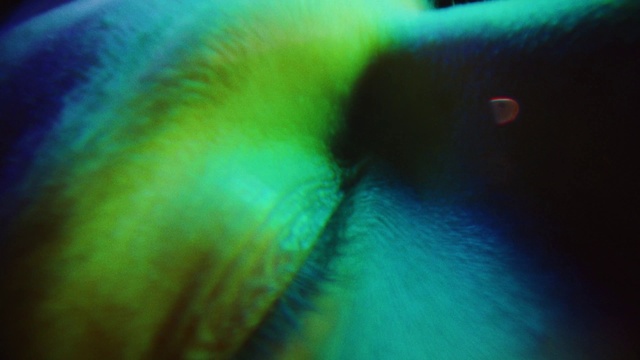 Video Reference N0: Green, Water, Eyelash, Tints and shades, Electric blue, Close-up, Art, Macro photography, Circle, Pattern