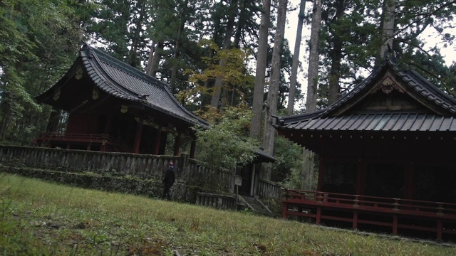 Video Reference N2: Plant, Temple, Tree, Wood, Chinese architecture, Natural landscape, Leisure, Landscape, Grass, Temple