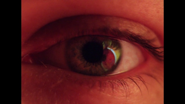 Video Reference N0: Eyelash, Vision care, Iris, Eye shadow, Lens, Makeover, Blood vessel, Nerve, Wrinkle, Eye liner