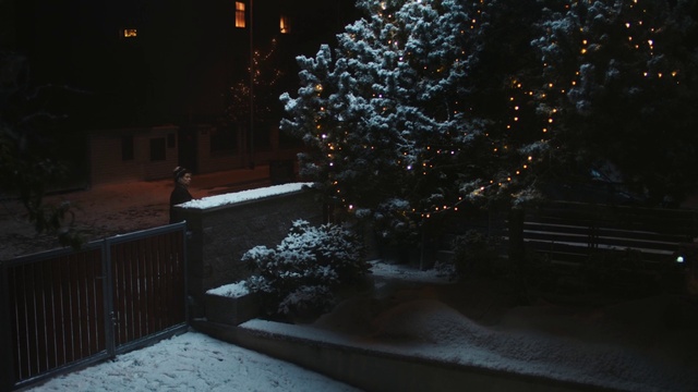Video Reference N0: Plant, Nature, Road surface, Window, Freezing, Snow, Twig, Residential area, Grass, Tints and shades