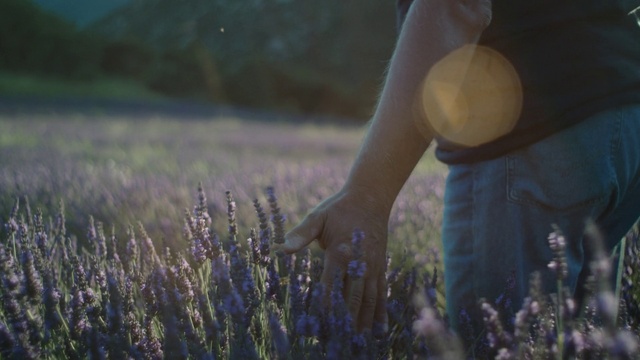 Video Reference N4: Hand, Plant, Flower, People in nature, Gesture, Happy, Finger, Grass, Grassland, Meadow