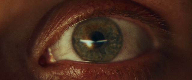 Video Reference N3: Brown, Eyelash, Wood, Iris, Wrinkle, Nerve, Circle, Lens, Close-up, Blood vessel
