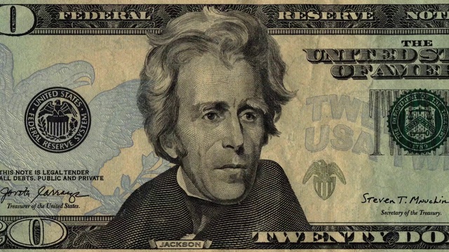 Video Reference N1: Head, Chin, Photograph, Banknote, Signature, Currency, Cash, Money, Dollar, Line