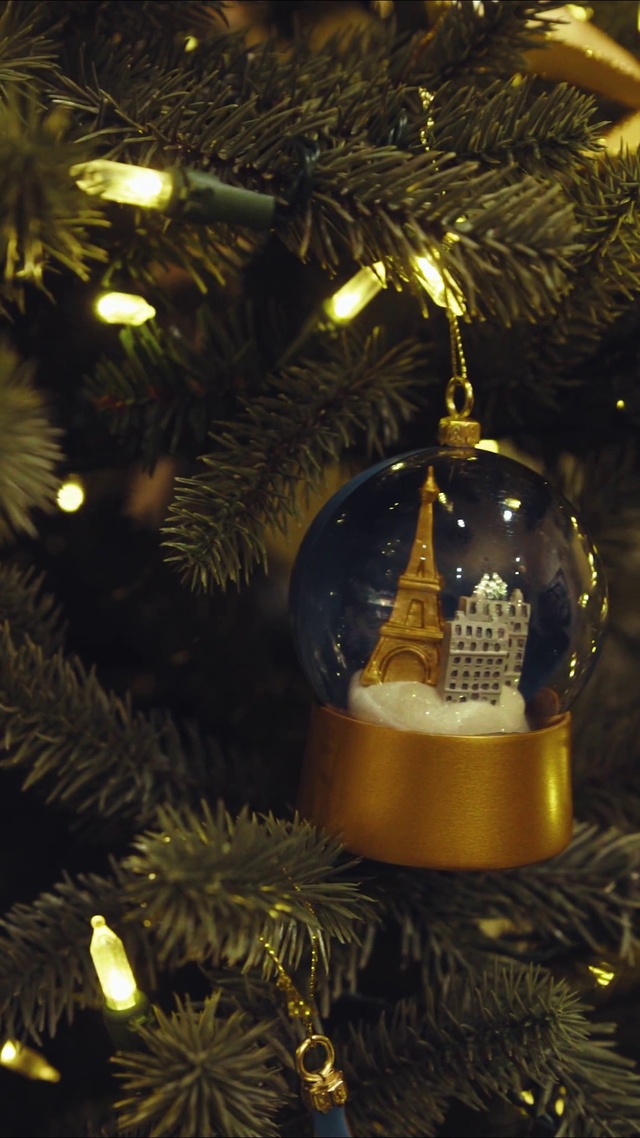 Video Reference N6: Christmas tree, Christmas ornament, Holiday ornament, Evergreen, Ornament, Christmas decoration, Woody plant, Tints and shades, Christmas, Christmas eve