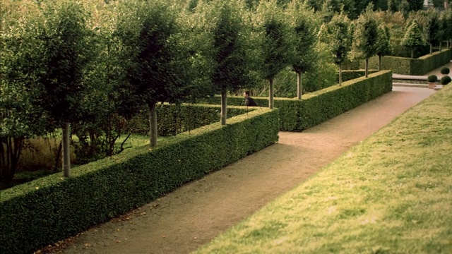 Video Reference N1: Plant, Natural landscape, Tree, Road surface, Land lot, Fence, Grass, Hedge, Slope, Shrub