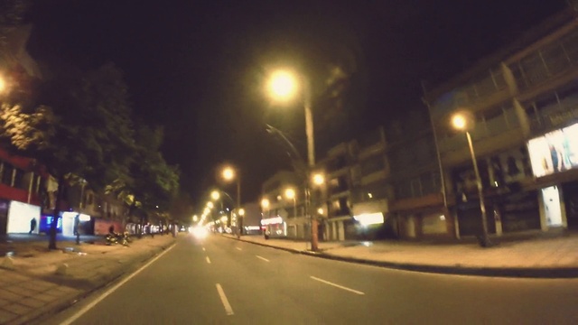 Video Reference N4: Street light, Automotive lighting, Road surface, Sky, Lighting, Asphalt, Electricity, Thoroughfare, Tree, Road