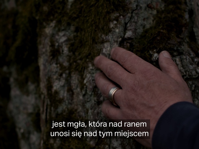 Video Reference N11: Hand, Wood, Gesture, Bedrock, Trunk, Finger, Nail, People in nature, Body jewelry, Jewellery