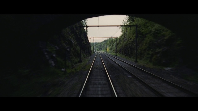 Video Reference N3: Plant, Grass, Road surface, Track, Thoroughfare, Electricity, Tunnel, Parallel, Tints and shades, Sky