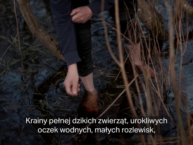 Video Reference N10: Leg, People in nature, Wood, Plant, Gesture, Thigh, Grass, Terrestrial plant, Shorts, Woody plant