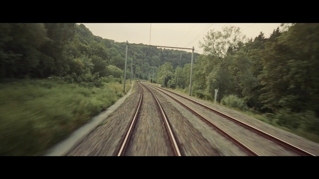Video Reference N1: Sky, Plant, Tree, Vehicle, Branch, Natural landscape, Track, Wood, Mode of transport, Railway