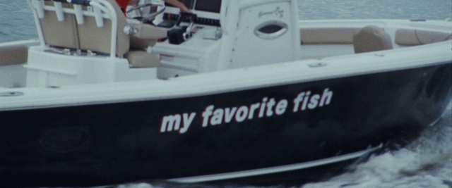 Video Reference N2: Watercraft, Boat, White, Naval architecture, Ship, Machine, Boats and boating--Equipment and supplies, Science, Font, Vehicle