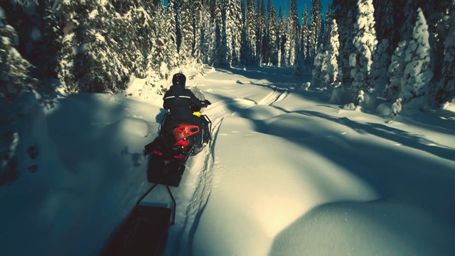 Video Reference N20: Snowmobile, Snow, Automotive lighting, Natural environment, Plant, Automotive tire, Slope, Tree, Freezing, Terrain