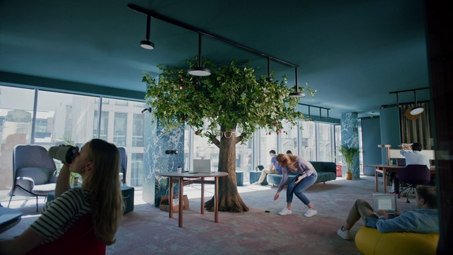 Video Reference N1: Table, Furniture, Houseplant, Plant, Building, Shade, Leisure, Flooring, Wood, Ceiling