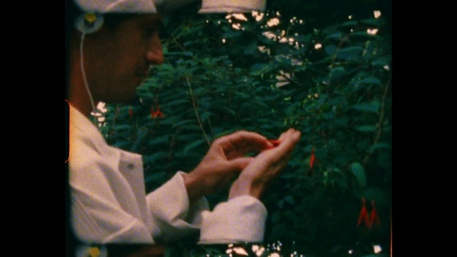 Video Reference N10: Green, Plant, Organism, Gesture, Flash photography, Finger, People in nature, Adaptation, Hat, Cap
