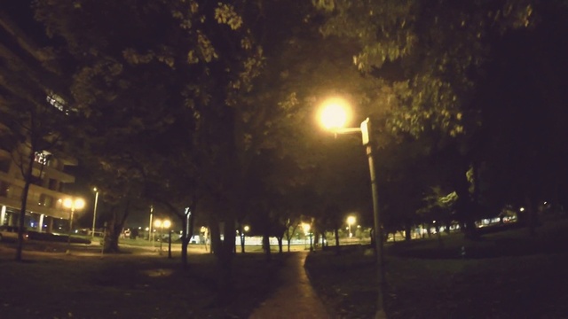 Video Reference N7: Atmosphere, Street light, Automotive lighting, Road surface, Plant, Branch, Lighting, Tree, Cloud, Sky