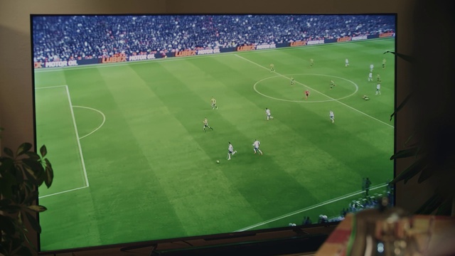 Video Reference N0: Plant, Soccer, Sports equipment, Football, World, Player, Ball, Ball game, Sports, Team sport