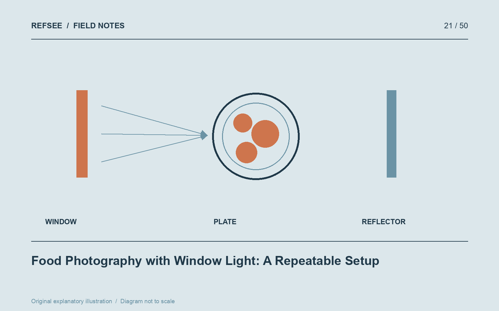 Side window light reveals food texture while a movable reflector controls the shadow side.